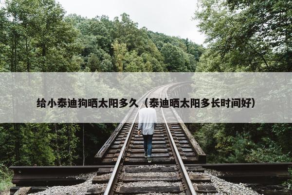 给小泰迪狗晒太阳多久（泰迪晒太阳多长时间好）
