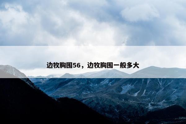 边牧胸围56，边牧胸围一般多大