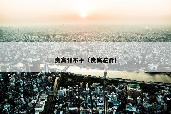 贵宾背不平（贵宾驼背）