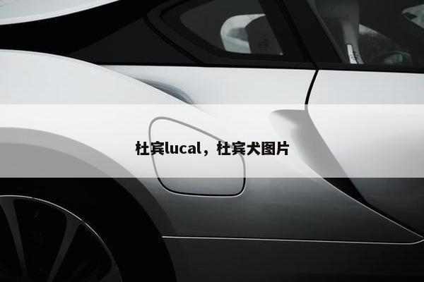 杜宾lucal，杜宾犬图片