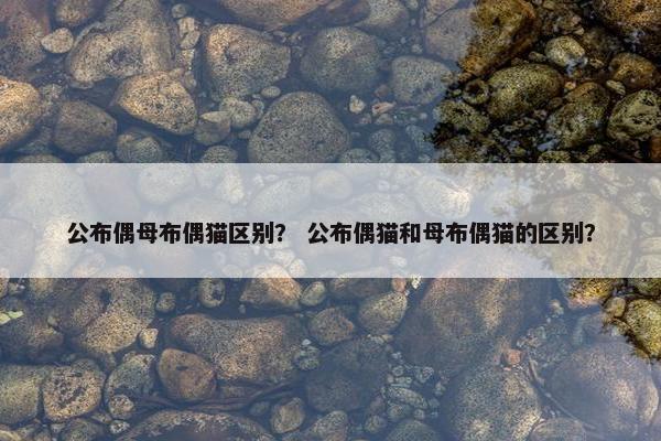 公布偶母布偶猫区别？ 公布偶猫和母布偶猫的区别？