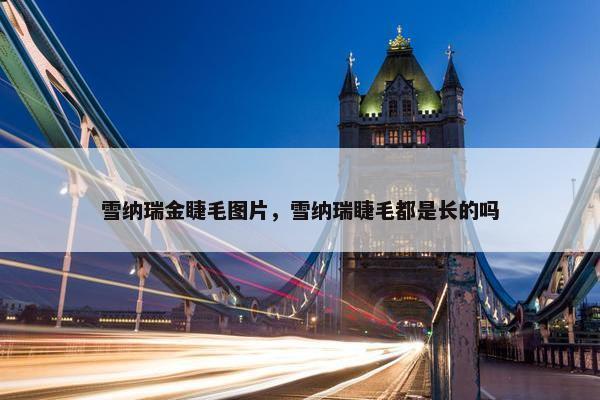 雪纳瑞金睫毛图片，雪纳瑞睫毛都是长的吗