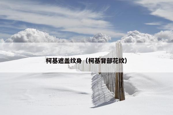 柯基遮盖纹身（柯基背部花纹）
