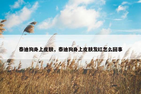 泰迪狗身上皮肤，泰迪狗身上皮肤发红怎么回事