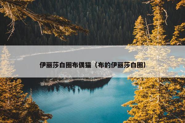 伊丽莎白圈布偶猫（布的伊丽莎白圈）