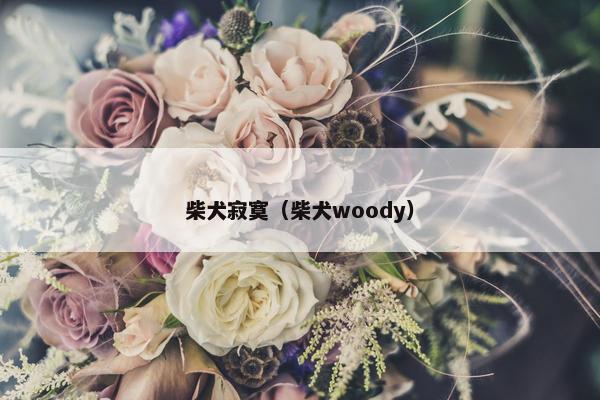柴犬寂寞（柴犬woody）