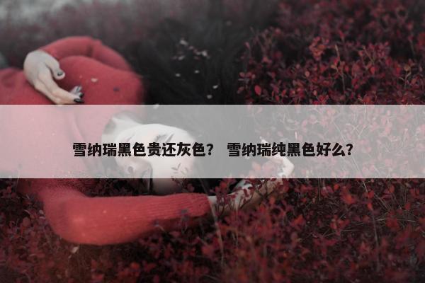 雪纳瑞黑色贵还灰色？ 雪纳瑞纯黑色好么？