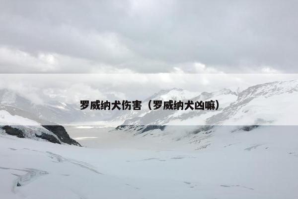 罗威纳犬伤害（罗威纳犬凶嘛）