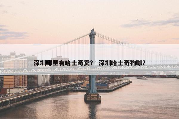 深圳哪里有哈士奇卖？ 深圳哈士奇狗咖？