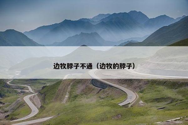 边牧脖子不通（边牧的脖子）