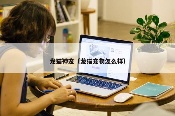 龙猫神宠（龙猫宠物怎么样）