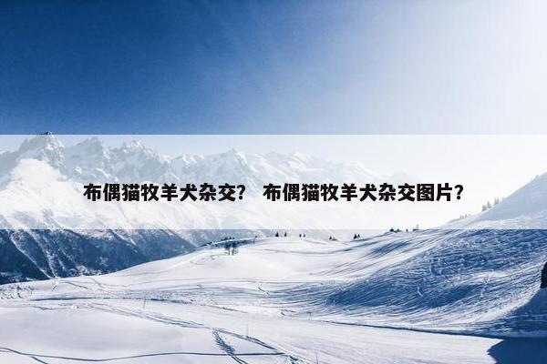 布偶猫牧羊犬杂交？ 布偶猫牧羊犬杂交图片？