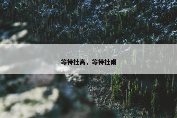 等待杜高，等待杜甫