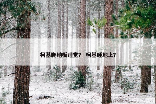 柯基爬地板睡觉？ 柯基睡地上？