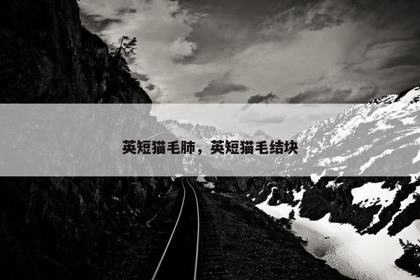 英短猫毛肺，英短猫毛结块