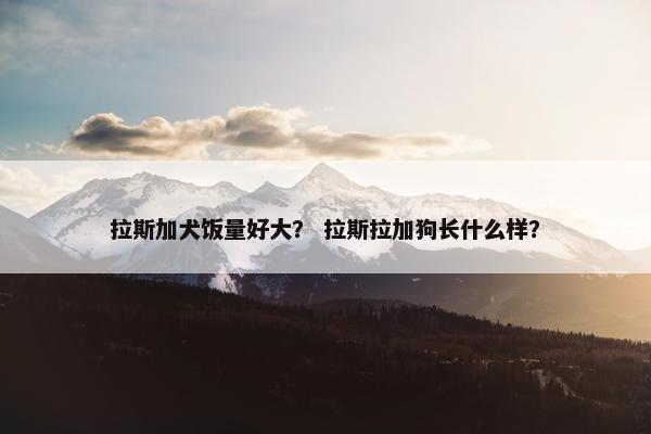 拉斯加犬饭量好大？ 拉斯拉加狗长什么样？