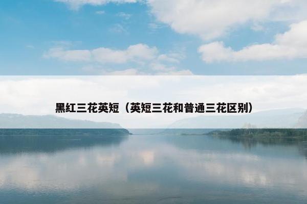 黑红三花英短（英短三花和普通三花区别）