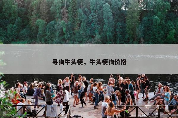 寻狗牛头梗，牛头梗狗价格