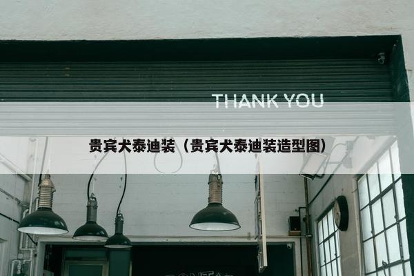 贵宾犬泰迪装（贵宾犬泰迪装造型图）