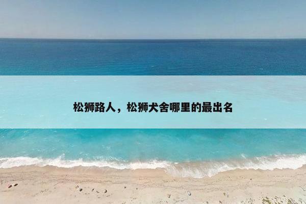 松狮路人，松狮犬舍哪里的最出名