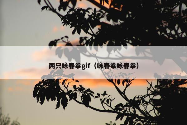 两只咏春拳gif（咏春拳咏春拳）