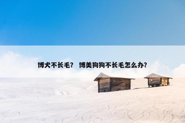 博犬不长毛？ 博美狗狗不长毛怎么办？