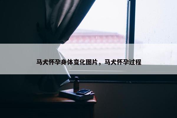 马犬怀孕身体变化图片，马犬怀孕过程