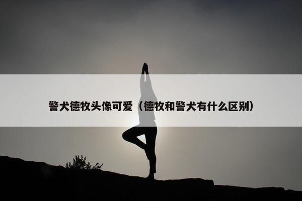 警犬德牧头像可爱（德牧和警犬有什么区别）