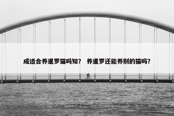 成适合养暹罗猫吗知？ 养暹罗还能养别的猫吗？