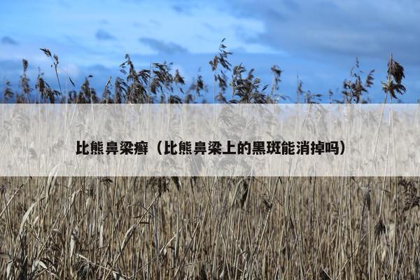比熊鼻梁癣（比熊鼻梁上的黑斑能消掉吗）
