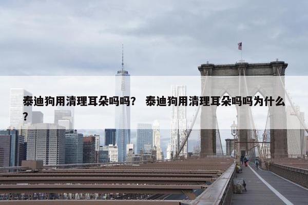 泰迪狗用清理耳朵吗吗？ 泰迪狗用清理耳朵吗吗为什么？