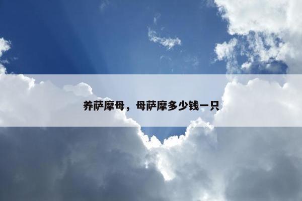 养萨摩母，母萨摩多少钱一只