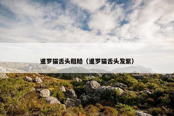暹罗猫舌头粗糙（暹罗猫舌头发紫）