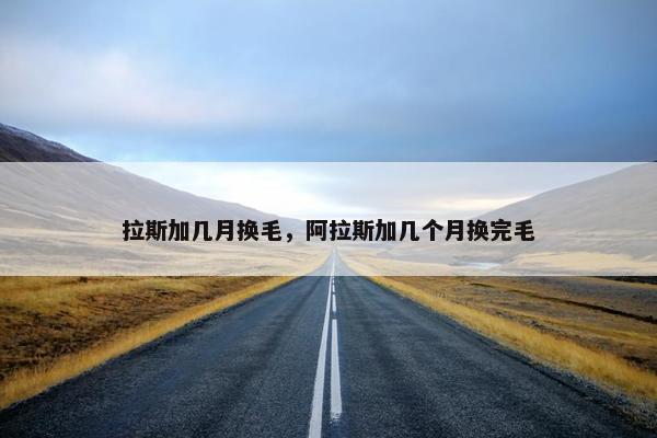 拉斯加几月换毛，阿拉斯加几个月换完毛
