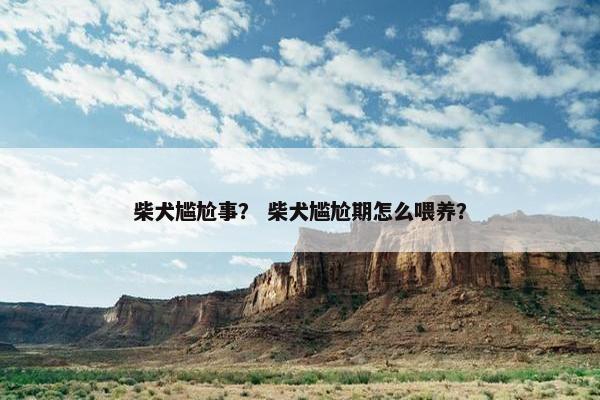 柴犬尴尬事？ 柴犬尴尬期怎么喂养？