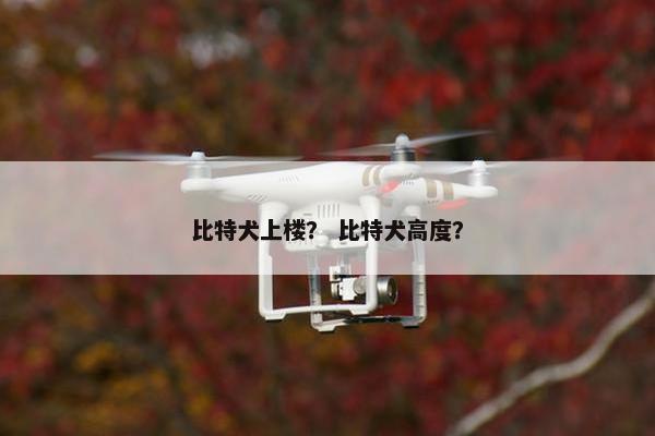 比特犬上楼？ 比特犬高度？