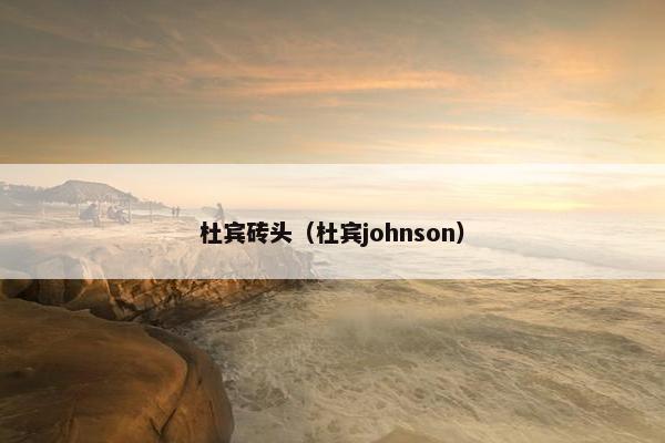 杜宾砖头（杜宾johnson）