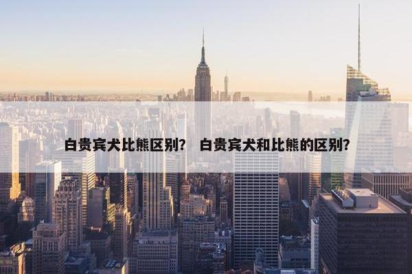 白贵宾犬比熊区别？ 白贵宾犬和比熊的区别？