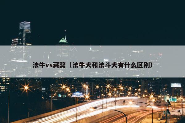 法牛vs藏獒（法牛犬和法斗犬有什么区别）