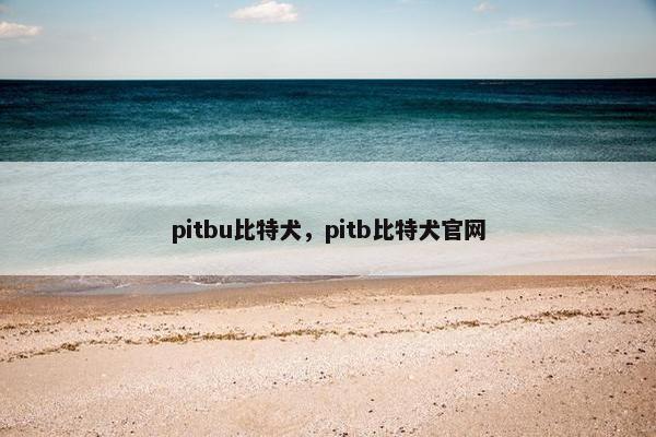 pitbu比特犬，pitb比特犬官网