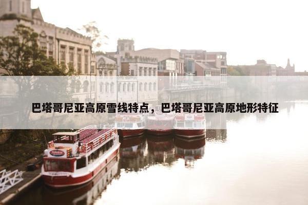 巴塔哥尼亚高原雪线特点，巴塔哥尼亚高原地形特征