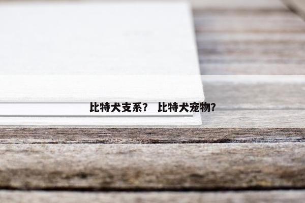 比特犬支系？ 比特犬宠物？