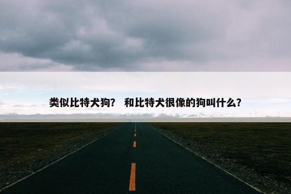类似比特犬狗？ 和比特犬很像的狗叫什么？