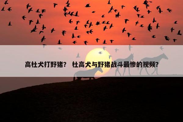 高杜犬打野猪？ 杜高犬与野猪战斗最惨的视频？