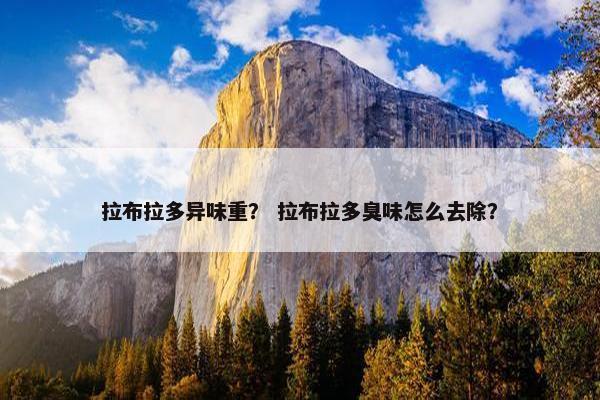 拉布拉多异味重？ 拉布拉多臭味怎么去除？