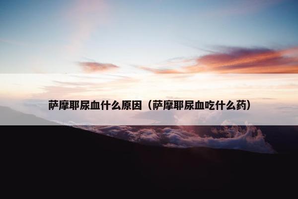 萨摩耶尿血什么原因（萨摩耶尿血吃什么药）
