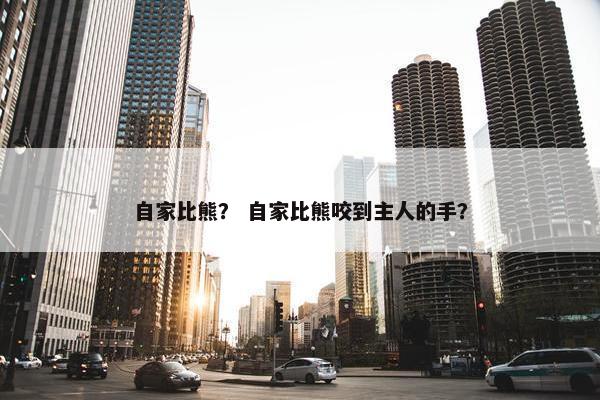 自家比熊？ 自家比熊咬到主人的手？