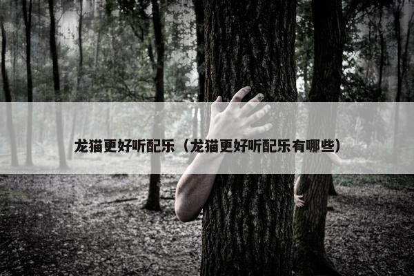 龙猫更好听配乐（龙猫更好听配乐有哪些）