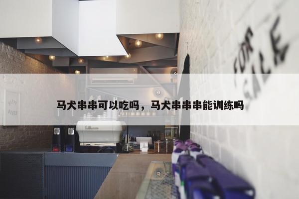 马犬串串可以吃吗，马犬串串串能训练吗