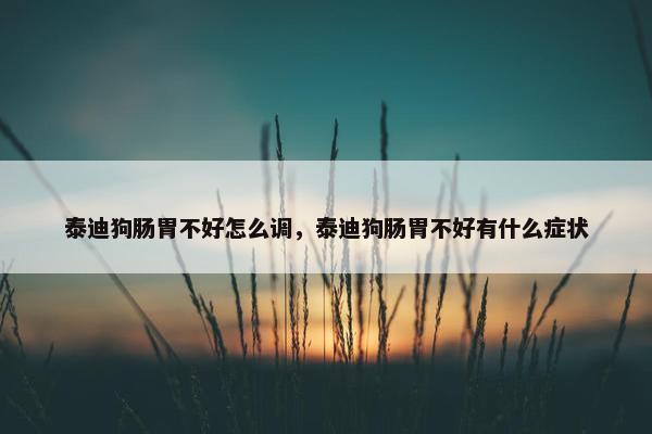 泰迪狗肠胃不好怎么调，泰迪狗肠胃不好有什么症状